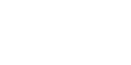 2N